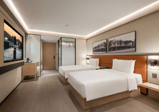 Habitación Deluxe de 2 camas